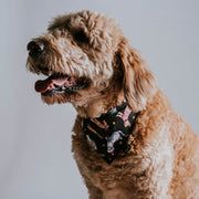 Scrunchie Dog Bandana / Christmas Cuties