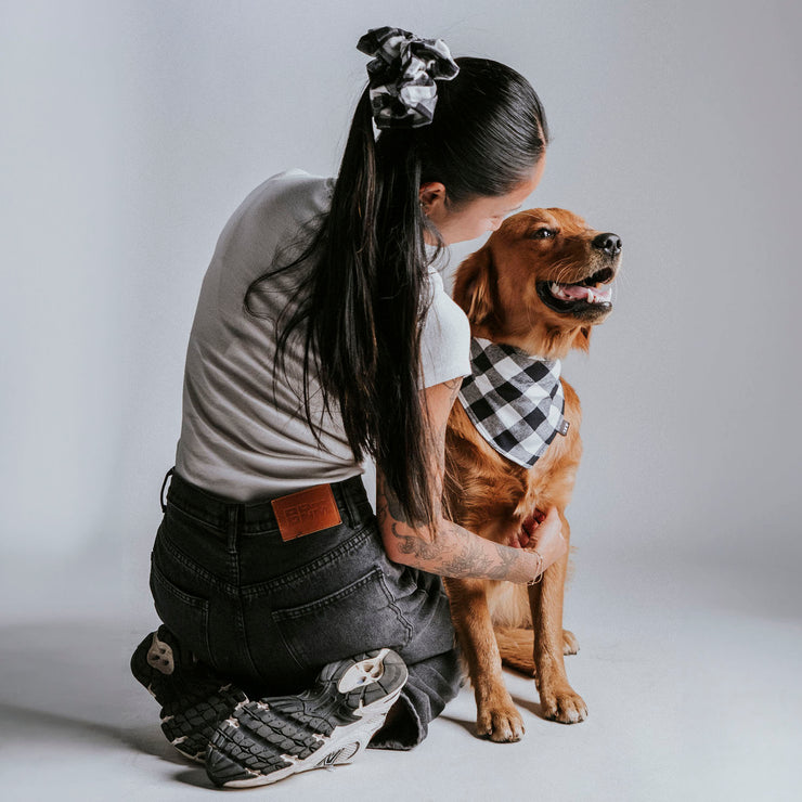 Scrunchie Dog Bandana / Tyler