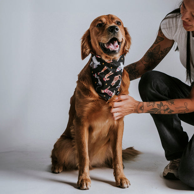 Scrunchie Dog Bandana / Christmas Cuties