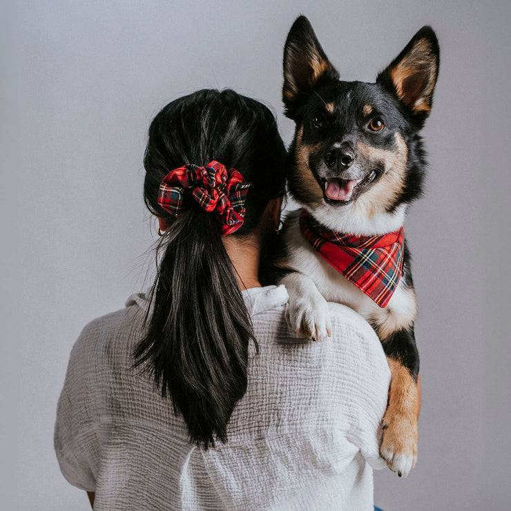 Scrunchie Dog Bandana / Noah