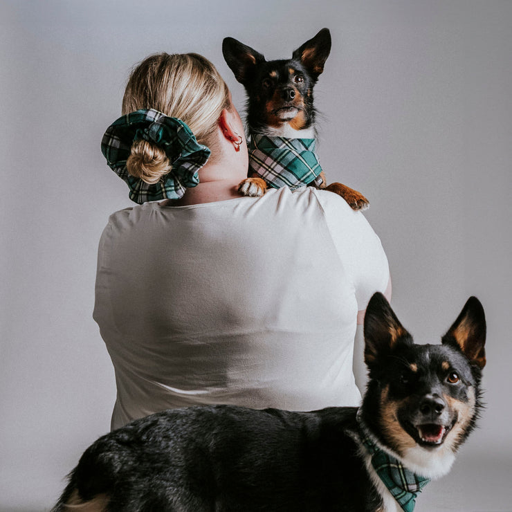 Scrunchie Dog Bandana / Finley