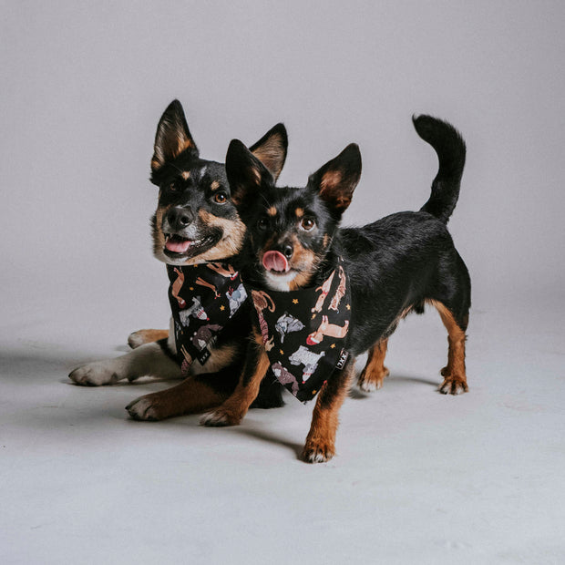 Scrunchie Dog Bandana / Christmas Cuties